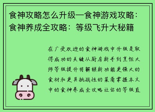 食神攻略怎么升级—食神游戏攻略：食神养成全攻略：等级飞升大秘籍